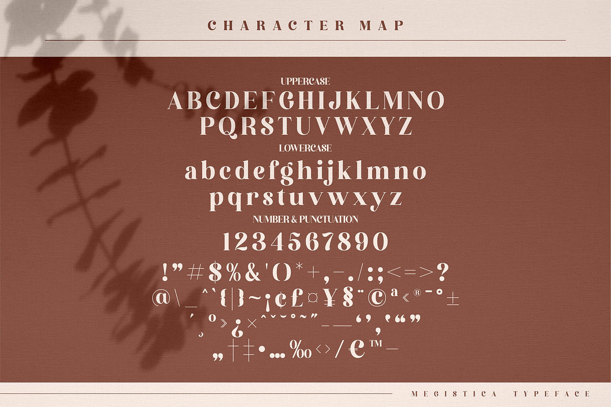Megistica Modern Serif Font, a Script Font by Storytype Studio (Photo 6 of 8)