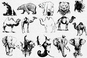 50 wild animals vector part 3, an Animal Illustration by AnastasiyaOleynik (Thumbnail 9 of 9)
