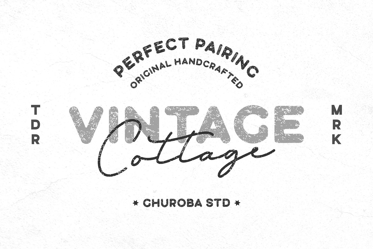 Silverstone Vintage Retro Font Duo, a Sans Serif Font by Ghuroba Studio (Photo 7 of 7)