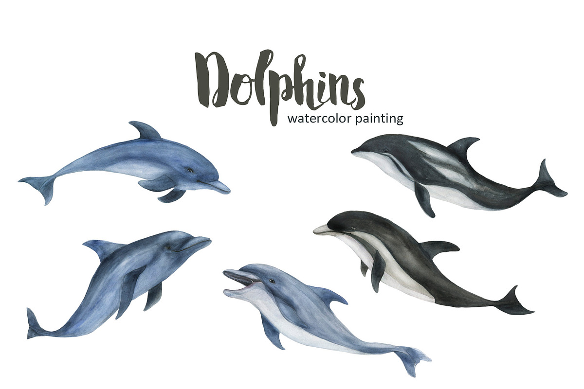 Dolphins - watercolor painting, an Animal Illustration by ramika (Photo 2 of 4)