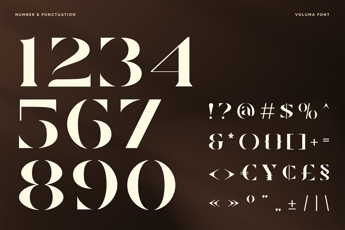 VOLUMA - Simple Elegant Display Font, a Serif Font by Pekotype (Photo 4 of 11)