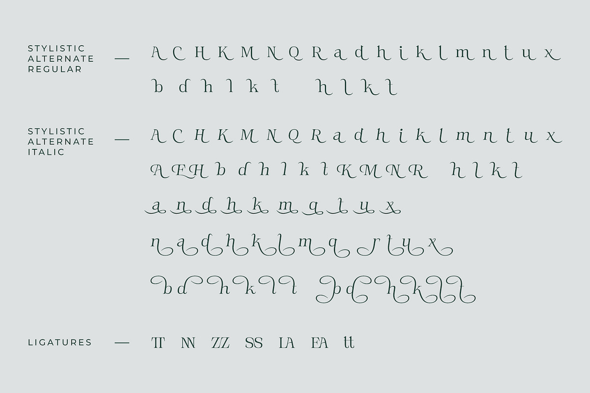 Novarick, a Serif Font by din-studio.com (Photo 12 of 16)