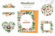 Woodland. Cute forest collection., an Animal Illustration by Kate_Rina (Thumbnail 12 of 15)