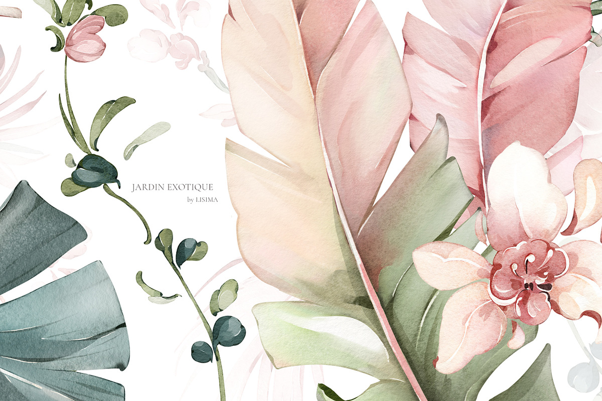 Exotic, Watercolor Tropical Patterns, a Pattern Graphic by Lisima (Photo 12 of 12)