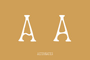Sol handmade font, a Handwritten Font by Florflai (Thumbnail 3 of 4)