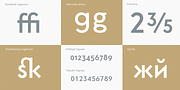 Core Sans G, a Sans Serif Font by S-Core (Thumbnail 5 of 5)