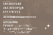 Megiska Modern and Stylish Serif, a Serif Font by Storytype Studio (Thumbnail 13 of 15)