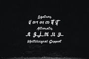 Sattomy - Handwritten Font, a Script Font by StringLabs (Thumbnail 12 of 13)