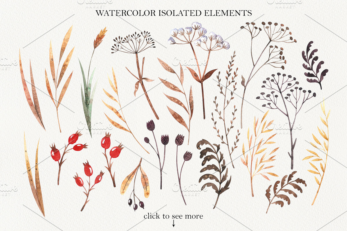 Winter dry plants, an Illustration by Natalia Fedorova (Photo 2 of 8)
