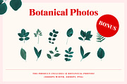 Mogan Serif Font + Extras, a Font by Heritage Type Co. (Thumbnail 14 of 16)