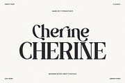 The Cherine | Modern Retro Serif, a Serif Font by Typoraith Co (Thumbnail 7 of 10)