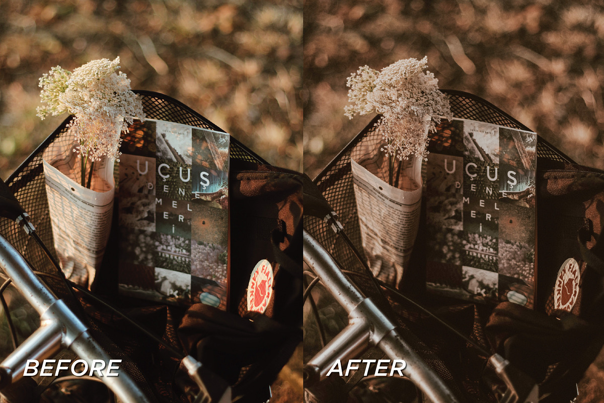 50 Dark Academia Lightroom Bundle, a Preset Add-On by TheWayfarerShoppe (Photo 9 of 9)