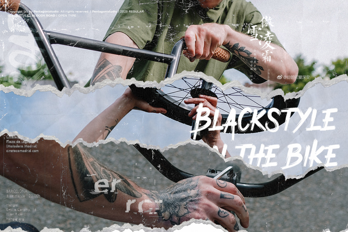 Bloody Road | Brush Display, a Serif Font by Pentagonistudio (Photo 5 of 11)