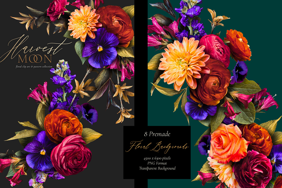 Harvest Moon Floral Clip Art Kit, an Object Graphic by Eclectic Anthology (Photo 5 of 21)