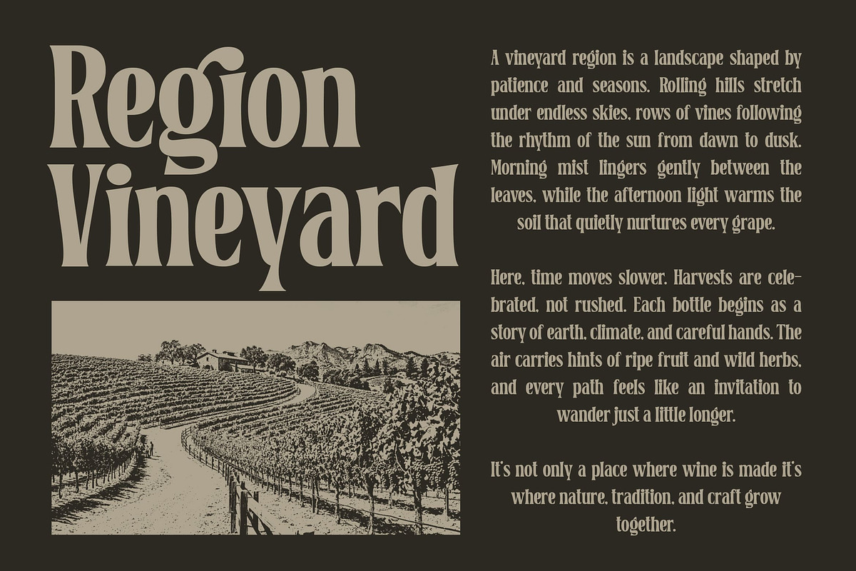 Belgino – Modern Stylish Serif Font, a Serif Font by Blankids Studio (Photo 8 of 9)