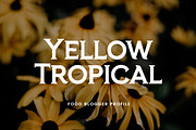 Frozenca Modern Serif Display Font, a Serif Font by UICreative (Thumbnail 7 of 12)