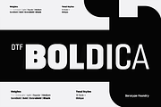 DTF Boldica, a Sans Serif Font by Dora Typefoundry (Thumbnail 13 of 13)