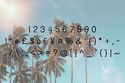 Arun Vadea, a Serif Font by TNE Designs (Thumbnail 3 of 3)