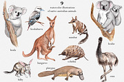 Australian Wildlife Watercolor Set, an Animal Illustration by Catch the Dream Art (Thumbnail 2 of 11)