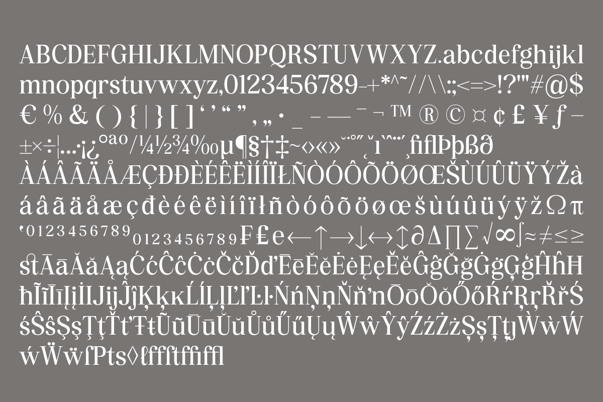 Pujarelah - Serif Family Font, a Serif Font by Differentialtype (Photo 9 of 13)