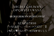 Rughato Wacner A Modern Serif Font, a Serif Font by Storytype Studio (Thumbnail 12 of 15)