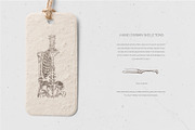 LEONARDO DA VINCI ANATOMY SKETCHES, an Illustration by Luna Dreams (Thumbnail 3 of 6)