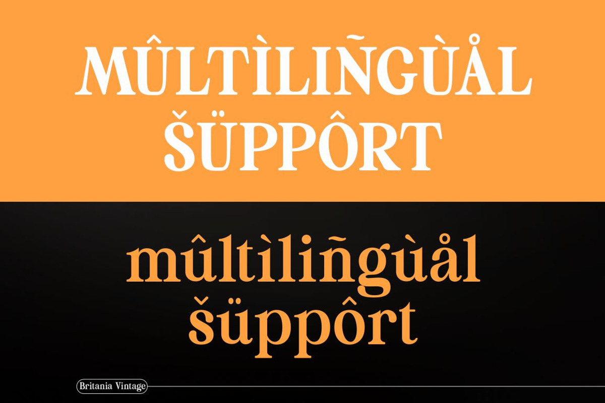 Britania Vintage, a Serif Font by Max.co Studio (Photo 7 of 13)