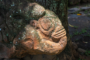 Stone tiki statue in Atuona, Hiva Oa, Marquesas Islands, French, a Photo by GoodGoods