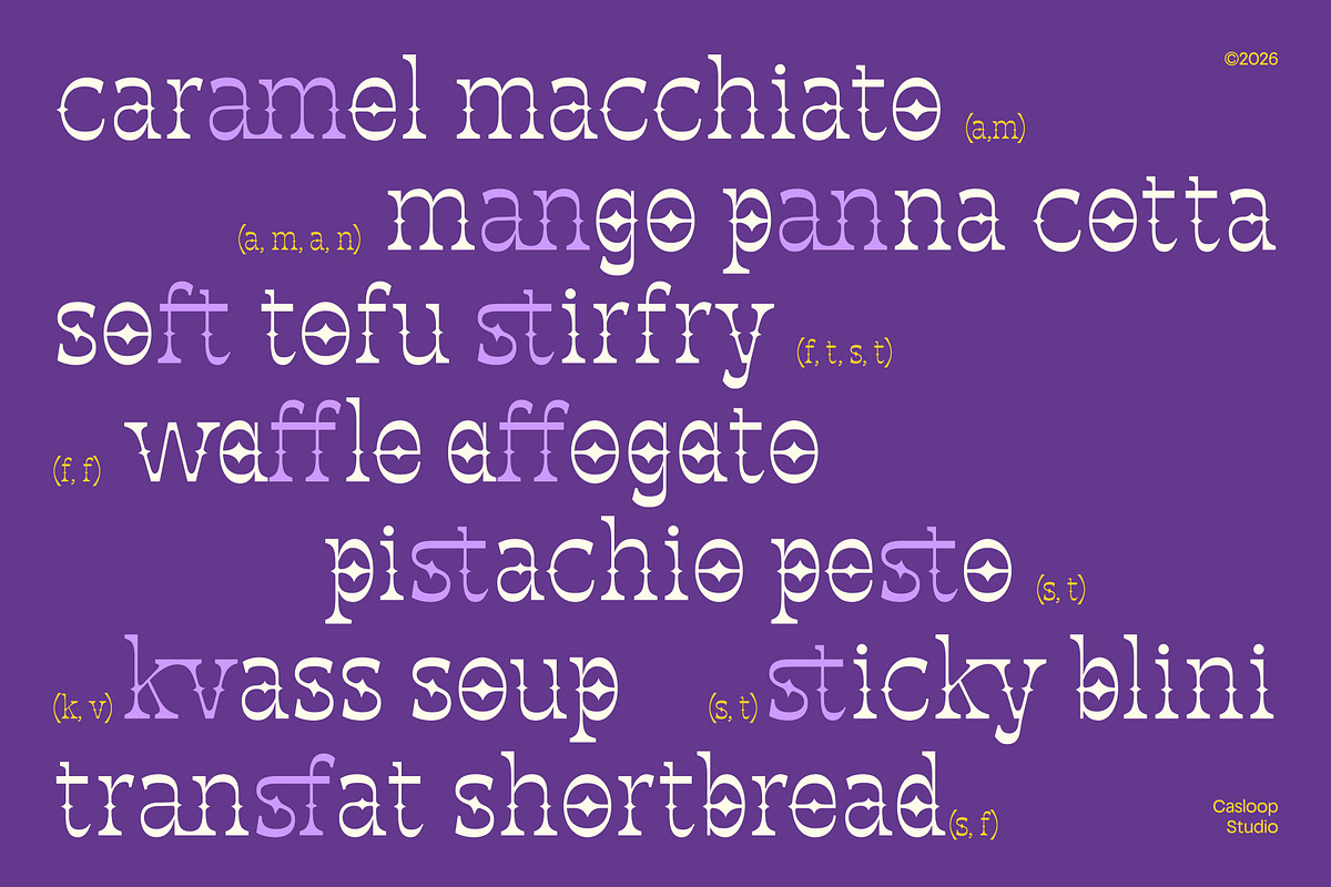 Jorix – Fluid Experimental Font, a Serif Font by Casloop Studio (Photo 8 of 10)