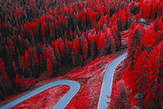 454 Infrared Fantasy Pro LUTs, a Preset Add-On by ShutterPro (Thumbnail 32 of 48)