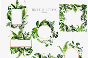 Tropical Greenery Watercolor Clipart, an Illustration by whiteheartdesign (Thumbnail 8 of 22)