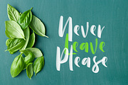Moligne - SVG Font Duo (40% OFF), a Script Font by Littlehand (Thumbnail 7 of 9)