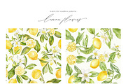 New! Summer + Fall Edition Bundle, a Seasonal Illustration by Isabelle Salem (Thumbnail 211 of 272)