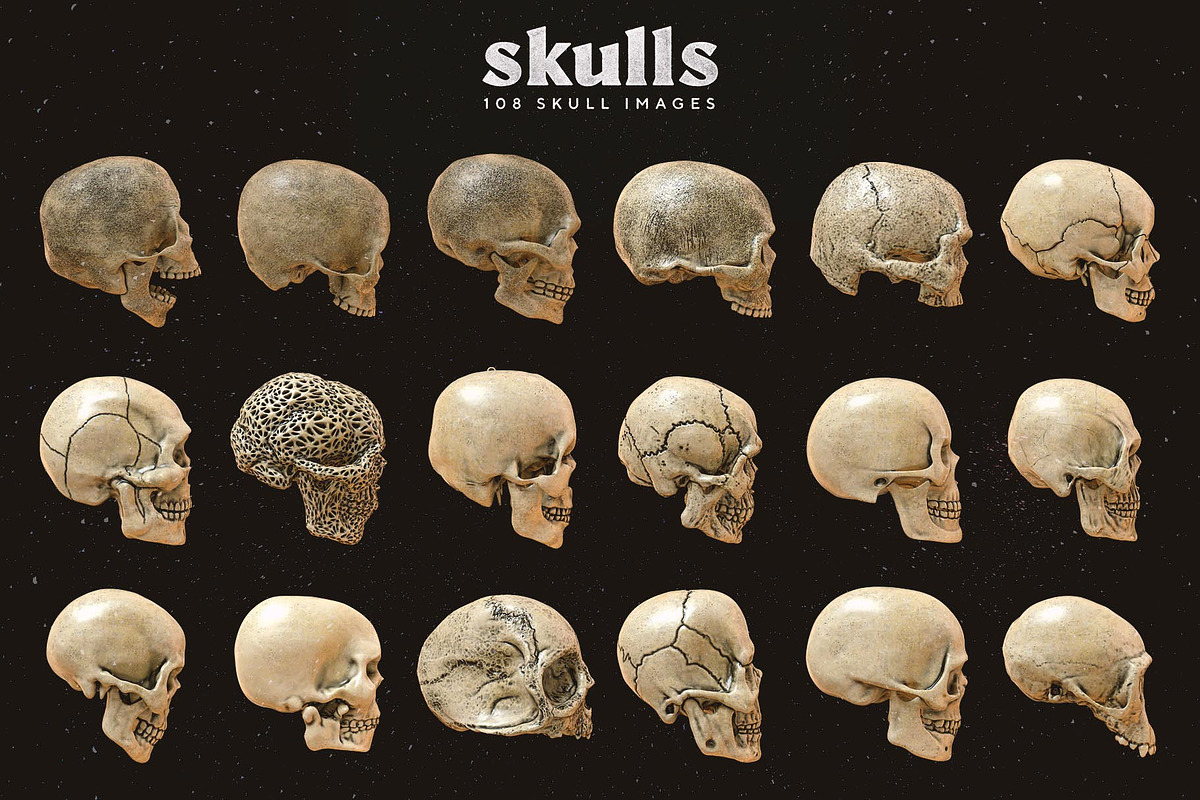 Skulls: 108 Skull Images, an Object Graphic by RuleByArt (Photo 16 of 16)