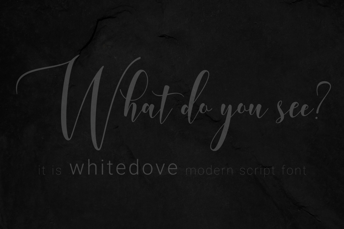 Whitedove Modern Script - UPDATE!, a Script Font by FadeLine Studio (Photo 13 of 13)