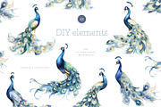 Watercolor vintage birds peacock, an Animal Illustration by MariGraphic boutique (Thumbnail 8 of 8)