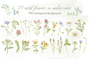 Little wild flower, a Decorative Illustration by Irina Avdeeva (Thumbnail 2 of 9)