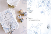 INSECTS & FLOWERS line art set, a Decorative Illustration by Yuliia Lashevska (Thumbnail 4 of 12)