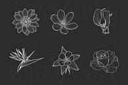 Ornament + Flowers, Pattern + Flower, a Brush Add-On by Lucrumplus (Thumbnail 9 of 10)