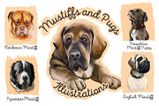 Mastiffs and Pugs 34 PSD Dogs Set, an Animal Illustration by Dneprstock (Thumbnail 1 of 15)