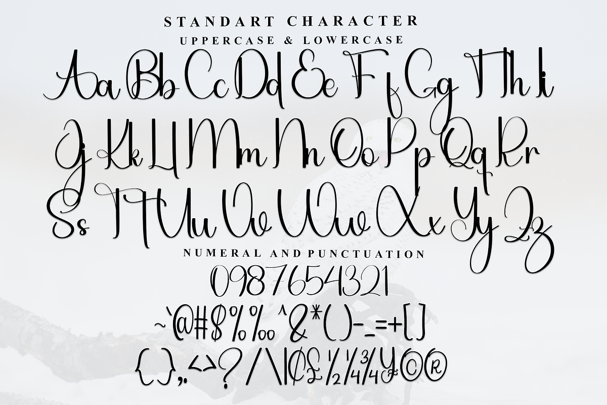 Holiday Sunday, a Handwritten Font by InermediaSTUDIO (Photo 2 of 8)
