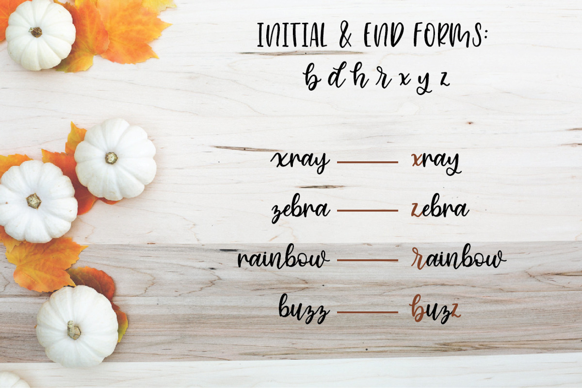 Cinnamon Sugar Script Font preview 7
