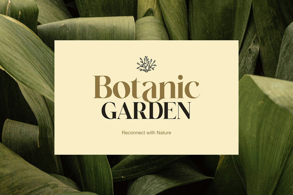 Regart Luxury Serif Font, a Serif Font by Perfectype (Photo 6 of 8)