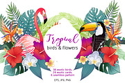 Tropical birds & flowers, an Object Graphic by Anastasia (Thumbnail 1 of 12)