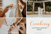 Desktop Lightroom Presets CRANBERRY, a Plug-in Add-On by Victoria Bee Presets (Thumbnail 8 of 29)