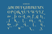 Saltive - Elegant Modern Serif, a Serif Font by Qweera Studio (Thumbnail 8 of 12)