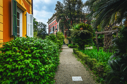 Garden with various green plants, an Architecture Photo by Alpine Dreams