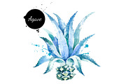 Watercolor Superfood Vector Set, a Food Illustration by Elena Pimonova (Thumbnail 5 of 5)