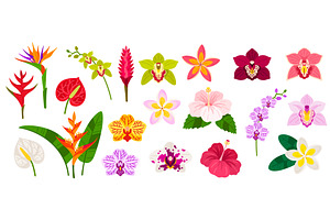 Tropical flowers flat icon set, an Object Illustration by kotoffei
