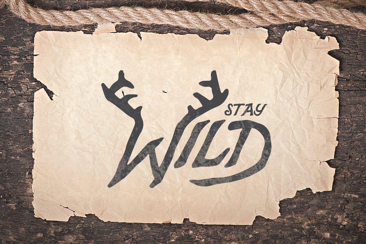 Pilgrim Font Collection (3 Fonts) preview 4